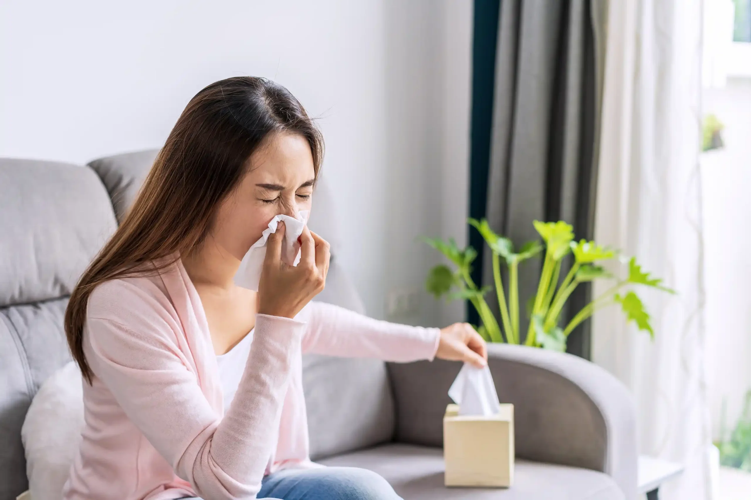 signs you need an air purifier system